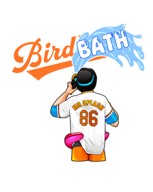 Bird Bath