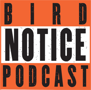 Bird Notice Podcast